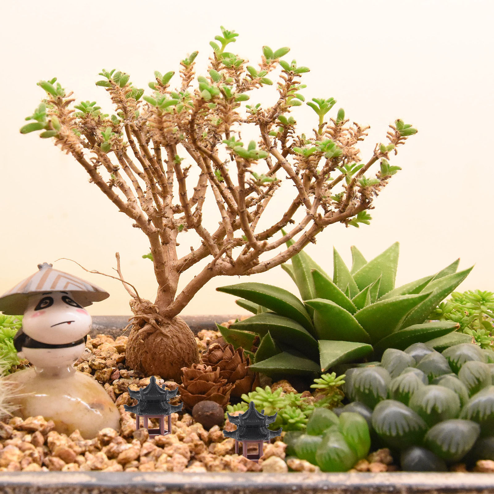 Bonsai Garden Set Up - Wyjątkowa, miniaturowa statuetka w kształcie sześciokątnego