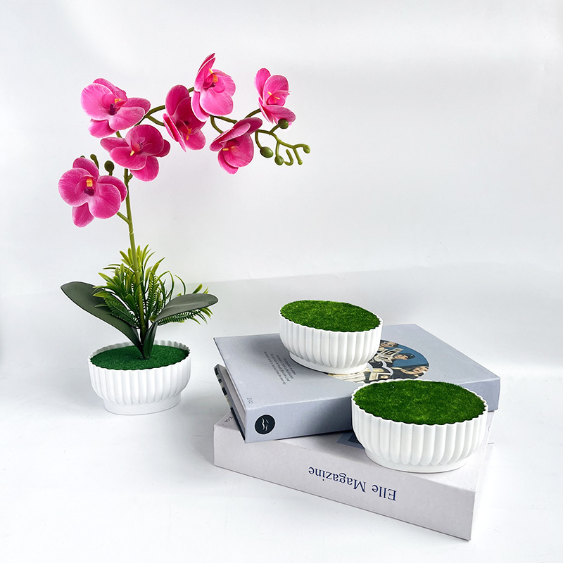 Symulowany proces formowania w – Bonsai Garden Shop recenzja i cena