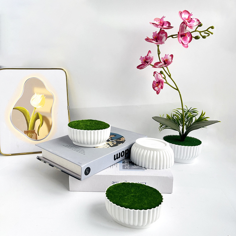 Symulowany proces formowania w – Bonsai Garden Shop recenzja i cena