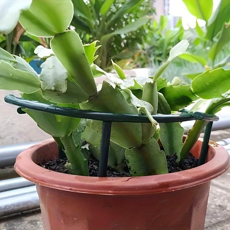30-1 SZT. Plastikowe Podpórki  – Bonsai Garden Tools recenzja i cena