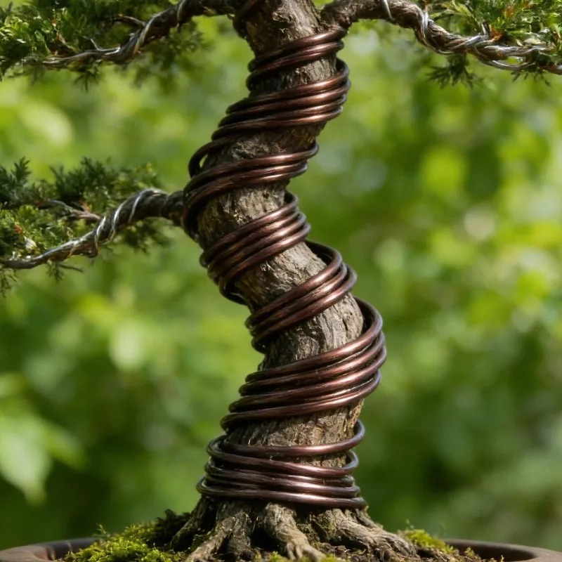 Zestaw drutu do treningu bonsa – Bonsai Garden Tools recenzja i cena
