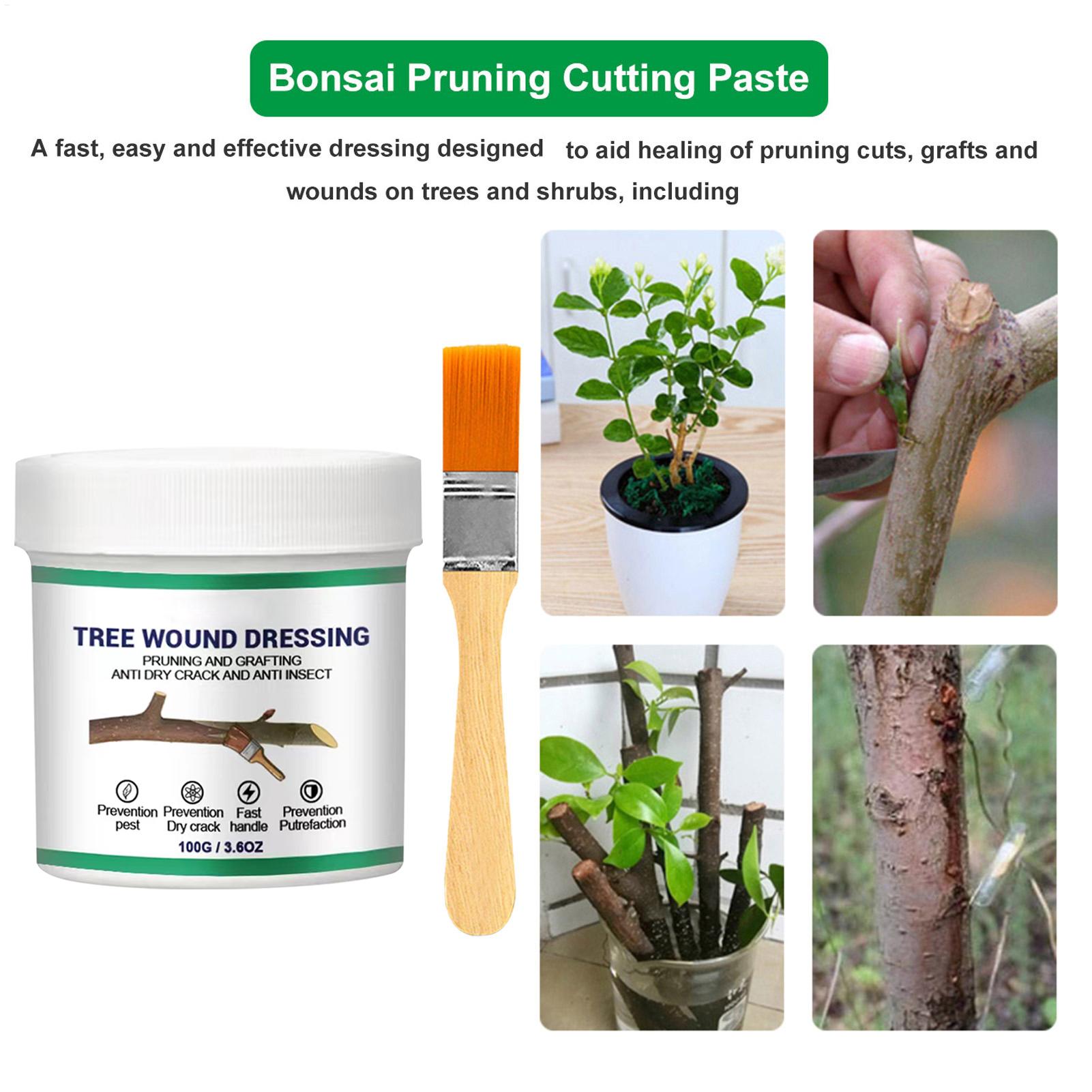 100g Uszczelniacz do ran drzew – Bonsai Garden Usa recenzja i cena