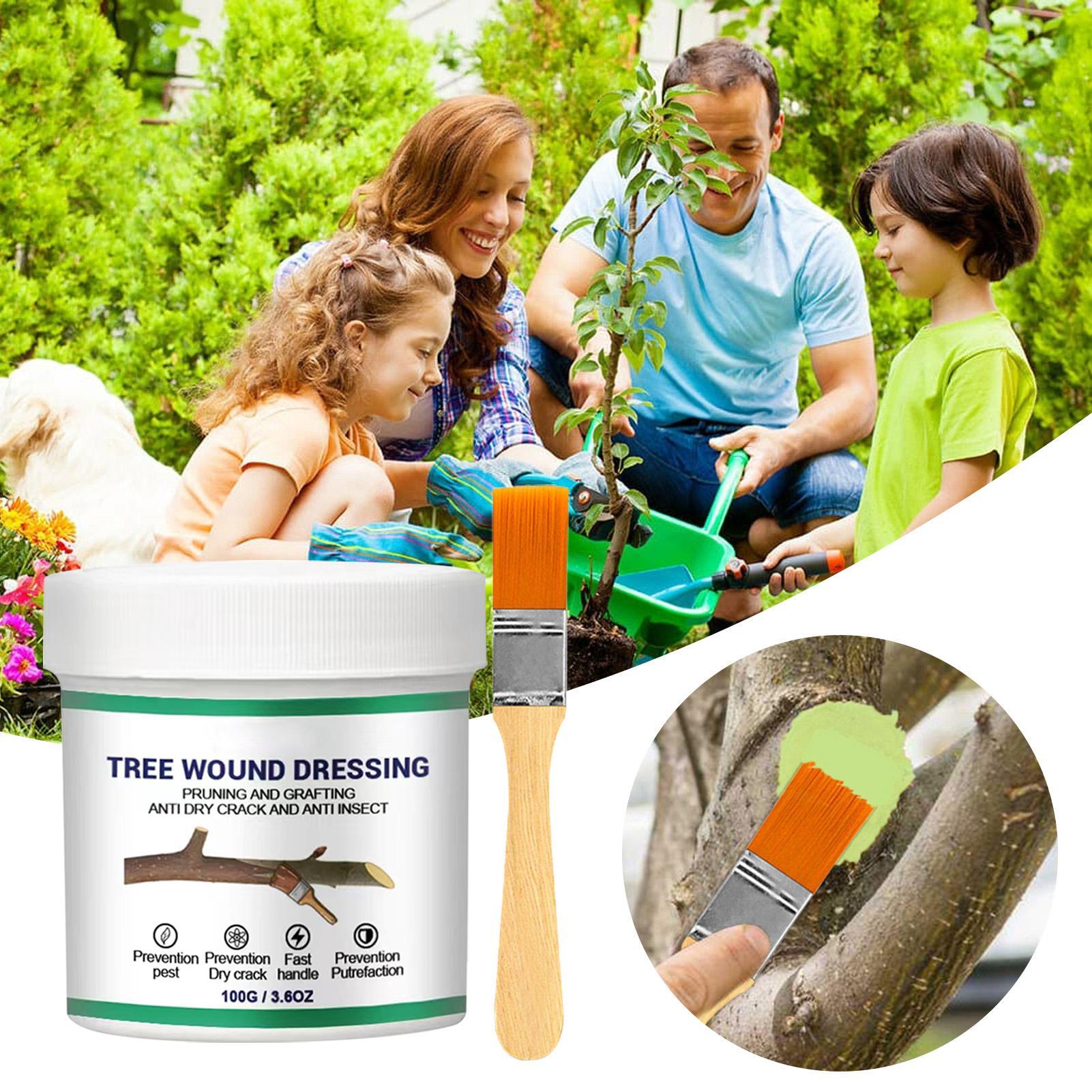100g Uszczelniacz do ran drzew – Bonsai Garden Usa recenzja i cena
